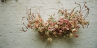 a bunch of pink flowers hanging on a wall